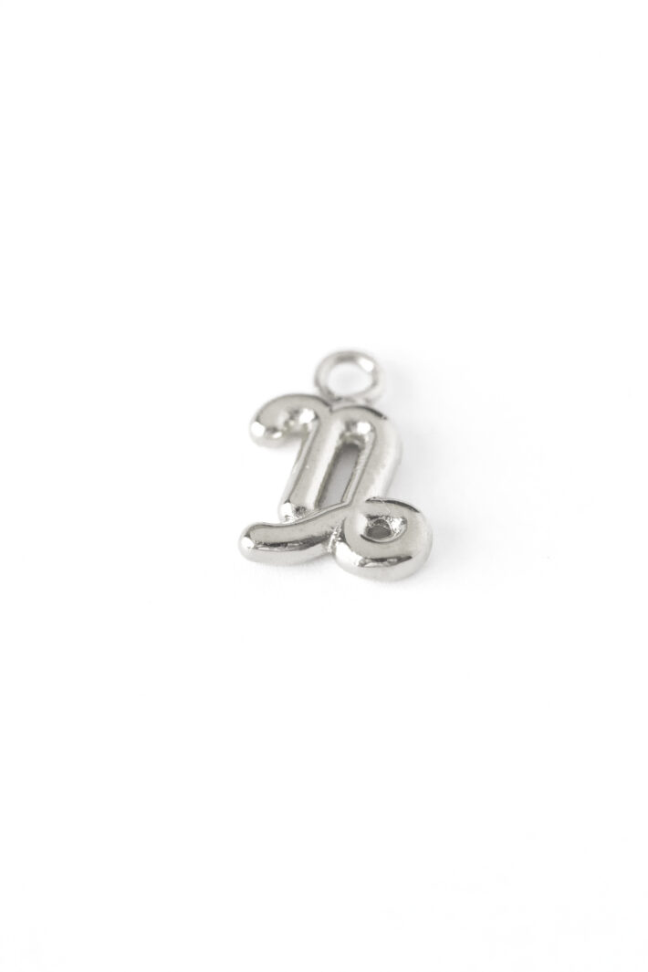 1750680631 מזל20גדי20כסף.jpg 1750680631 מזל20גדי20כסף.jpg