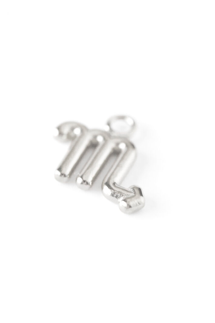 1750681328 מזל20עקרב20כסף.jpg 1750681328 מזל20עקרב20כסף.jpg