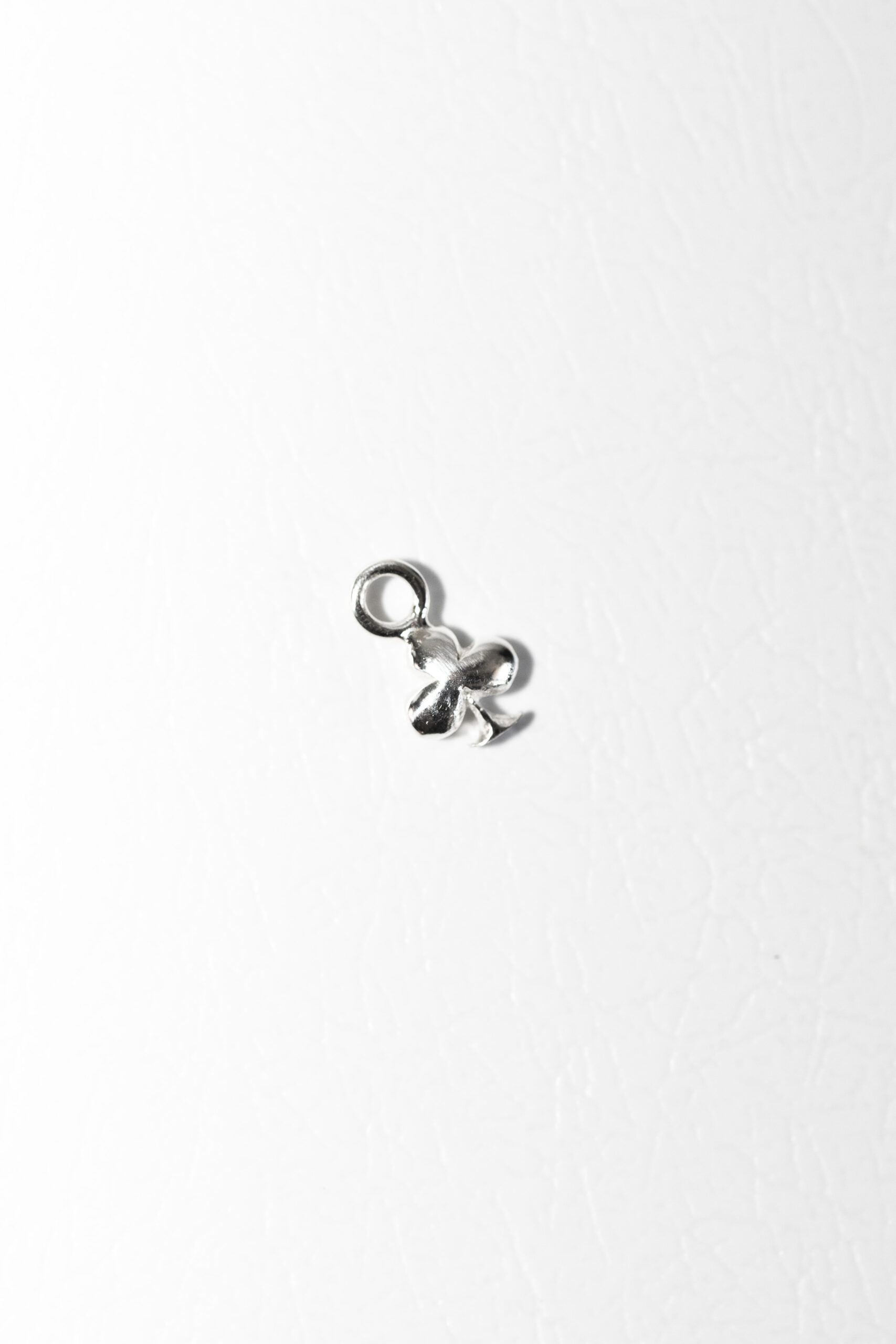 צ׳ארם צמיחה | כסף