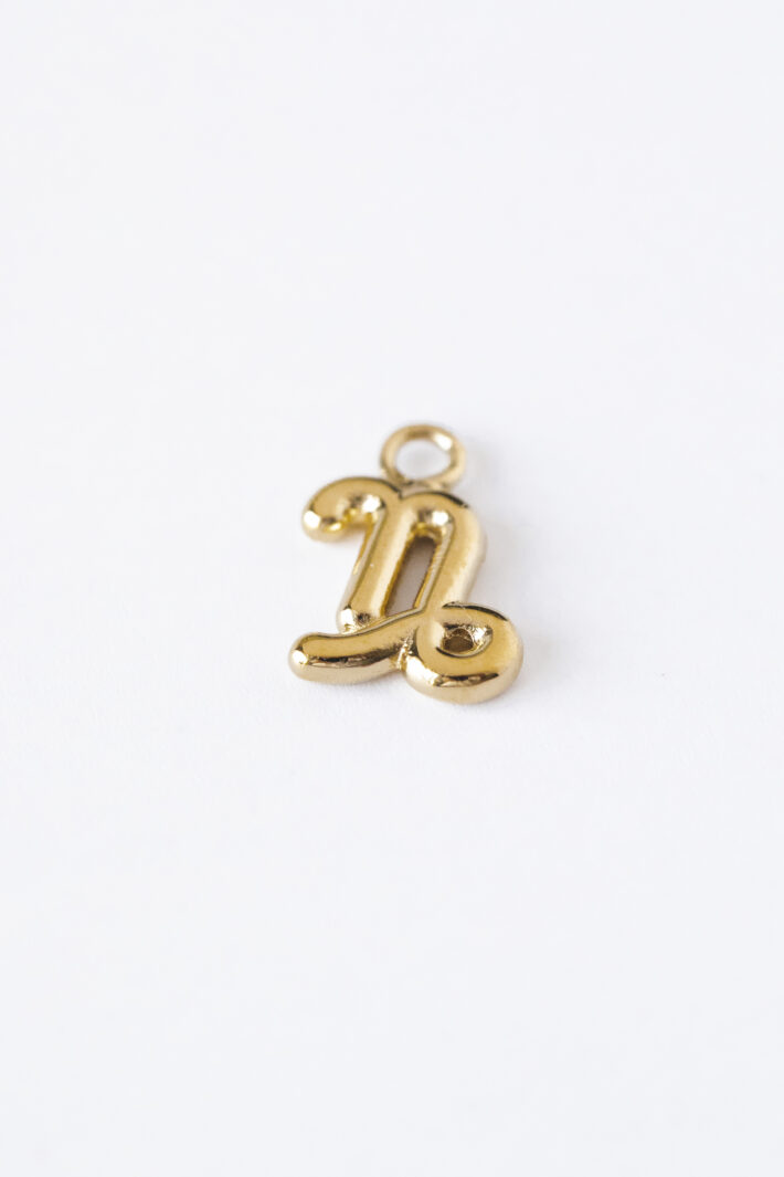 1750687858 צ׳ארם20גדי20זהב1.jpg 1750687858 צ׳ארם20גדי20זהב1.jpg