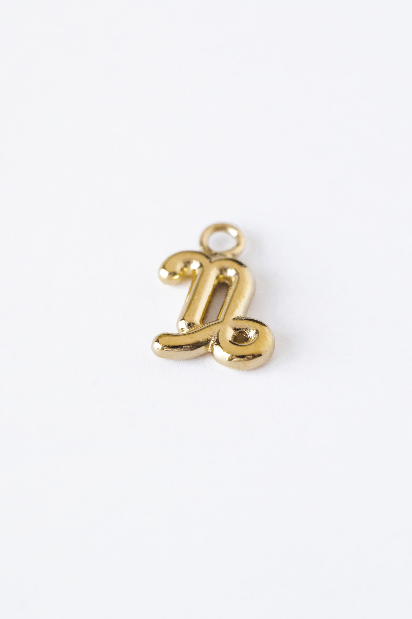 1750687858 צ׳ארם20גדי20זהב1.jpg