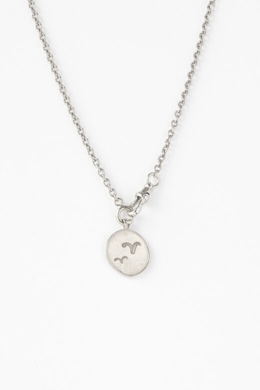 1752004636 שרשרת20ריאנון20כסף1.jpg