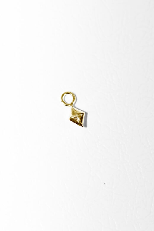 1754256723 צ׳ארם20בטחון20זהב.jpg