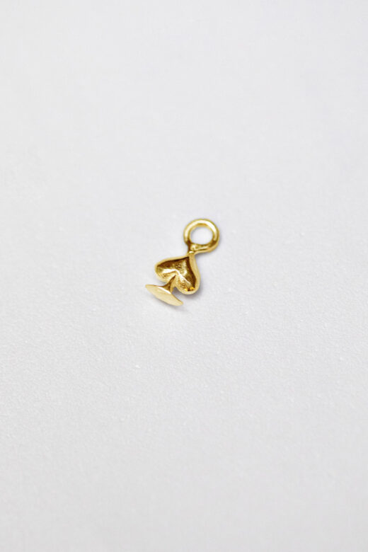 1754256992 צ׳ארם20שינוי20זהב.jpg