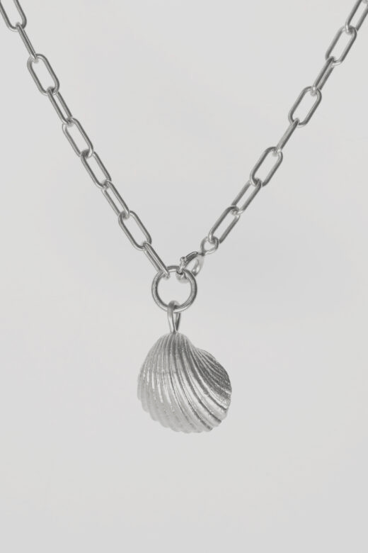 1756544530 שרשרת20ג׳ניס20כסף.jpg