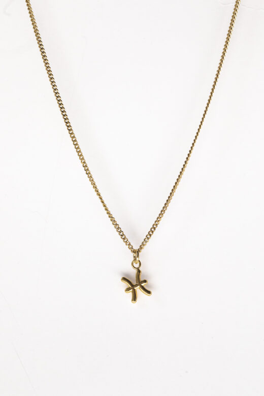 1757406972 שרשרת20מיי20לאק20דגים20זהב.jpg