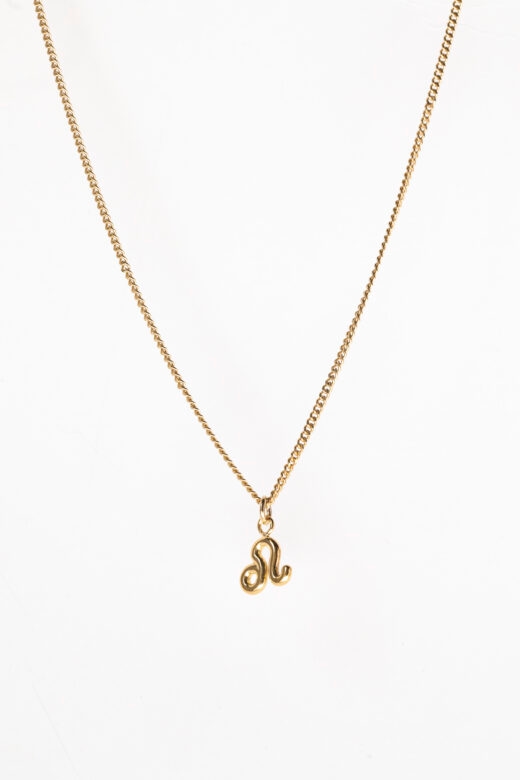 1757427415 שרשרת20מיי20לאק20אריה20זהב.jpg